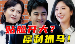 娱乐圈吃瓜吐槽博主小说,瓜田里的那些事儿