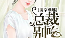 娱乐圈吃瓜酱小说在线阅读,吃瓜酱小说，揭秘明星背后的故事